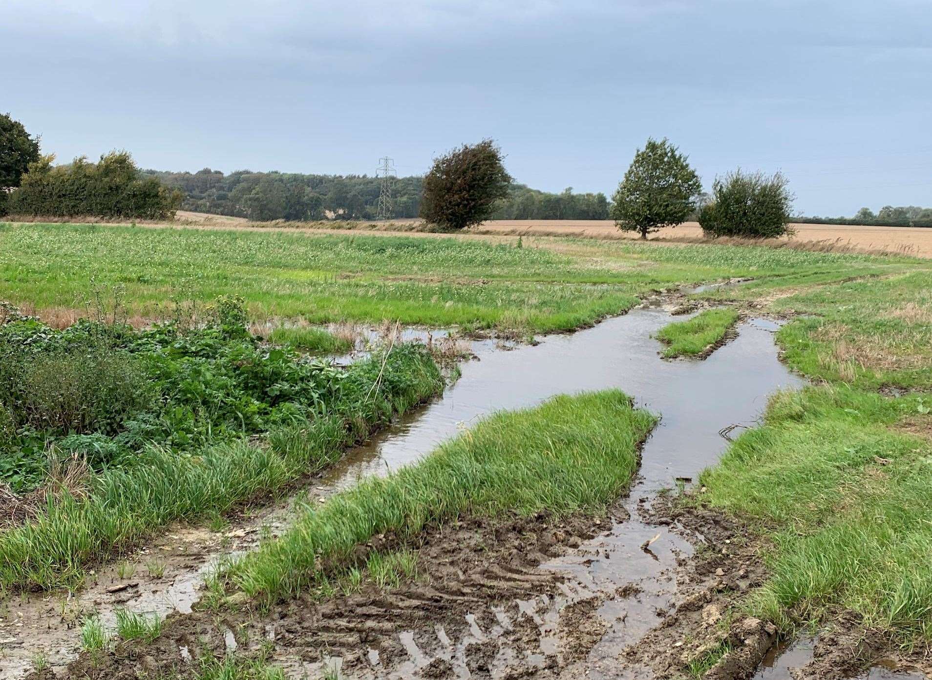 The leak in Shottenden Road reaches a farmers field in a massive pool