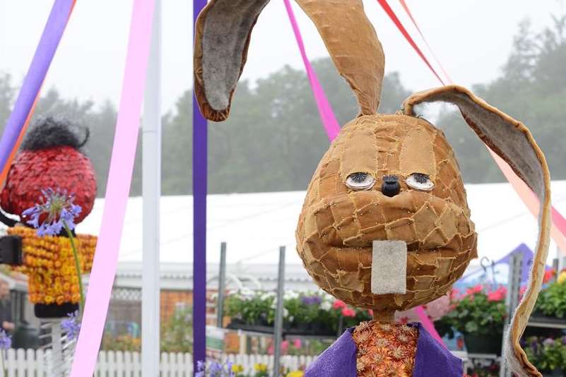 A 'special guest' at the flower tent