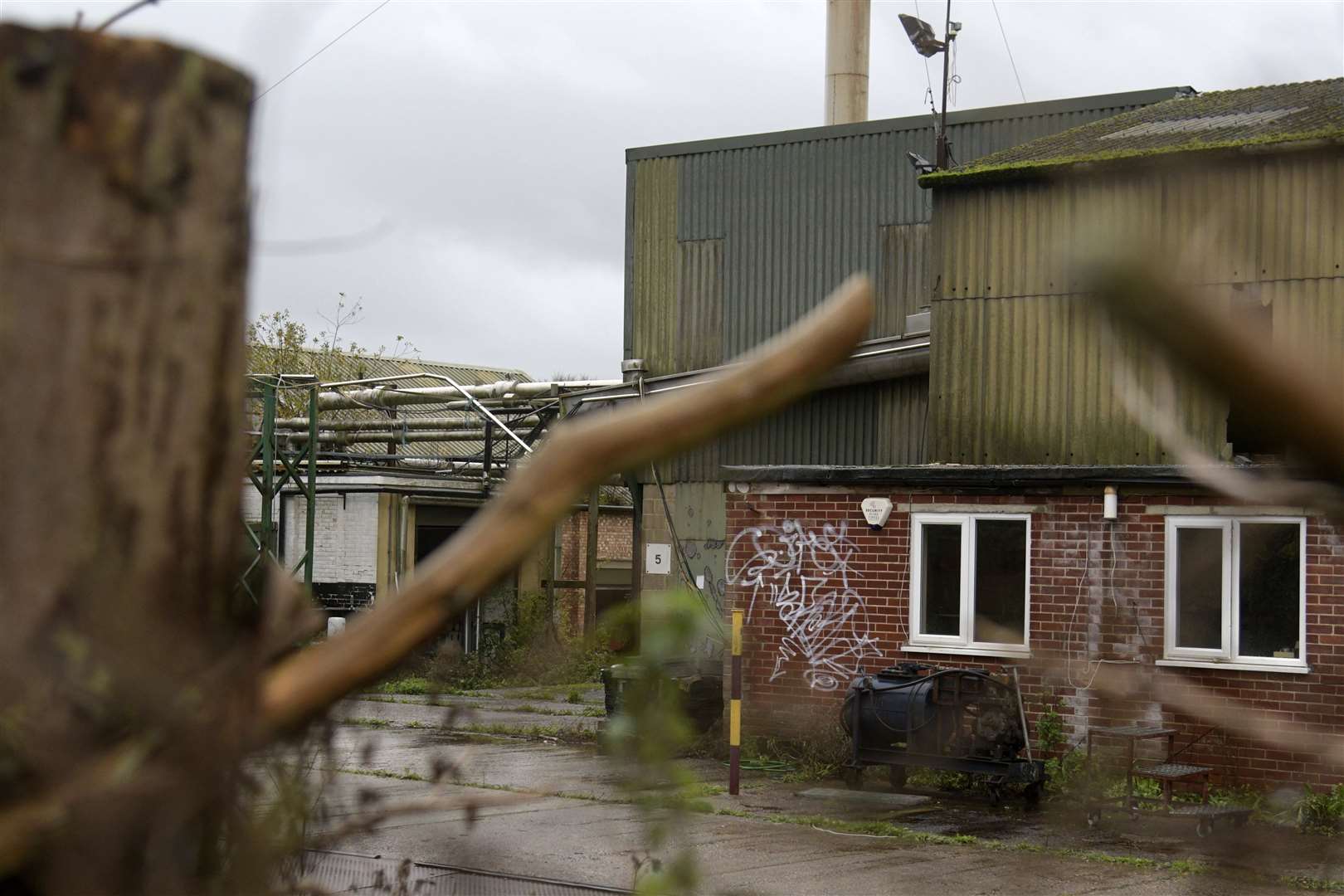 Areas of the old mill are overgrown. Picture: Barry Goodwin