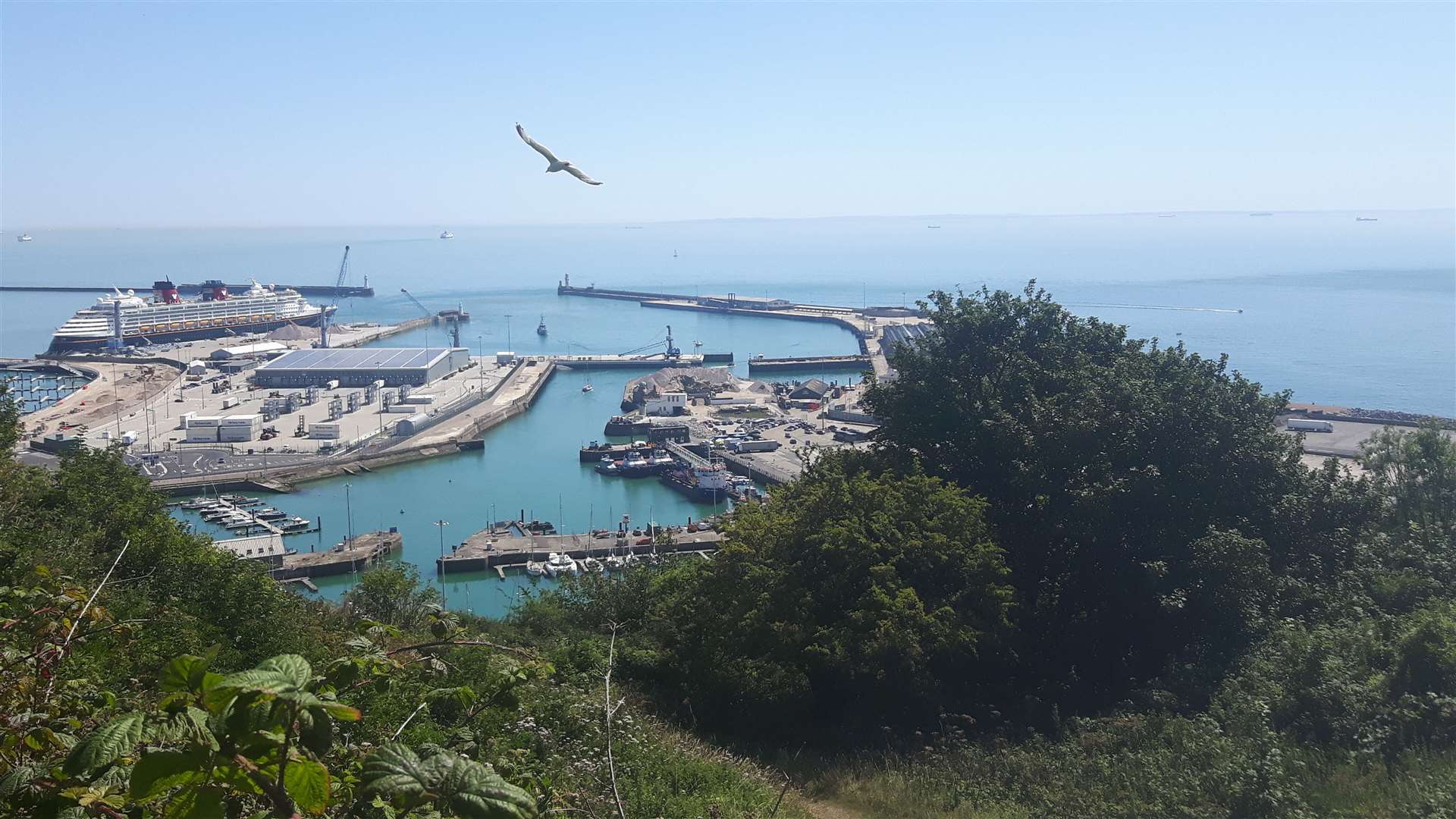 Border Force boats can be seen from Western Heights on the right of the Marina