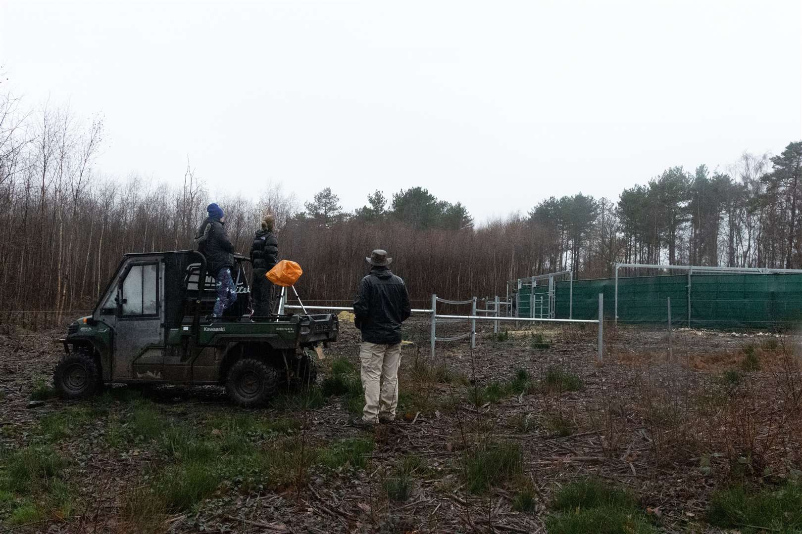 Family of bison reunited just in time for Christmas thanks to Kent Wildlife Trust. Picture shows everyone waiting for early morning release of bull bison. Picture: Evan Bowen-Jones (61537987)