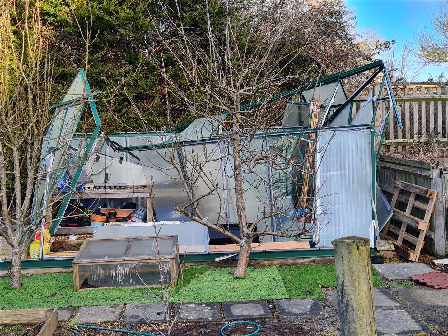 High Halden Primary School is raising money to replace its greenhouse and polytunnel