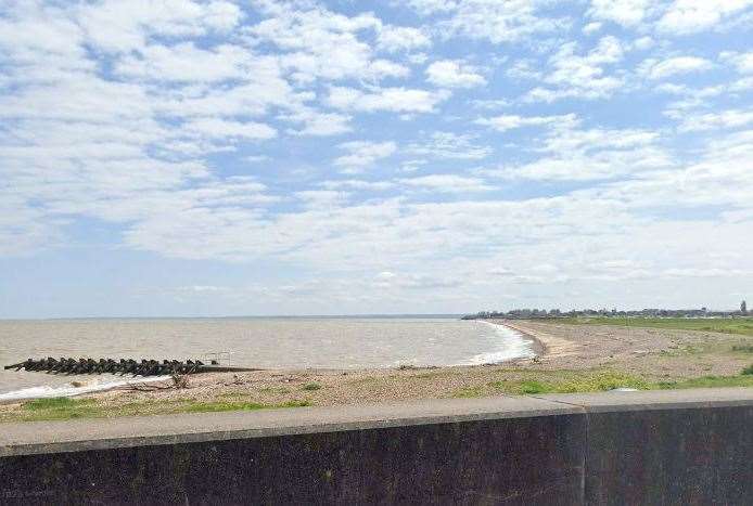 The porpoise was found at Warden Bay. Picture: Google Maps