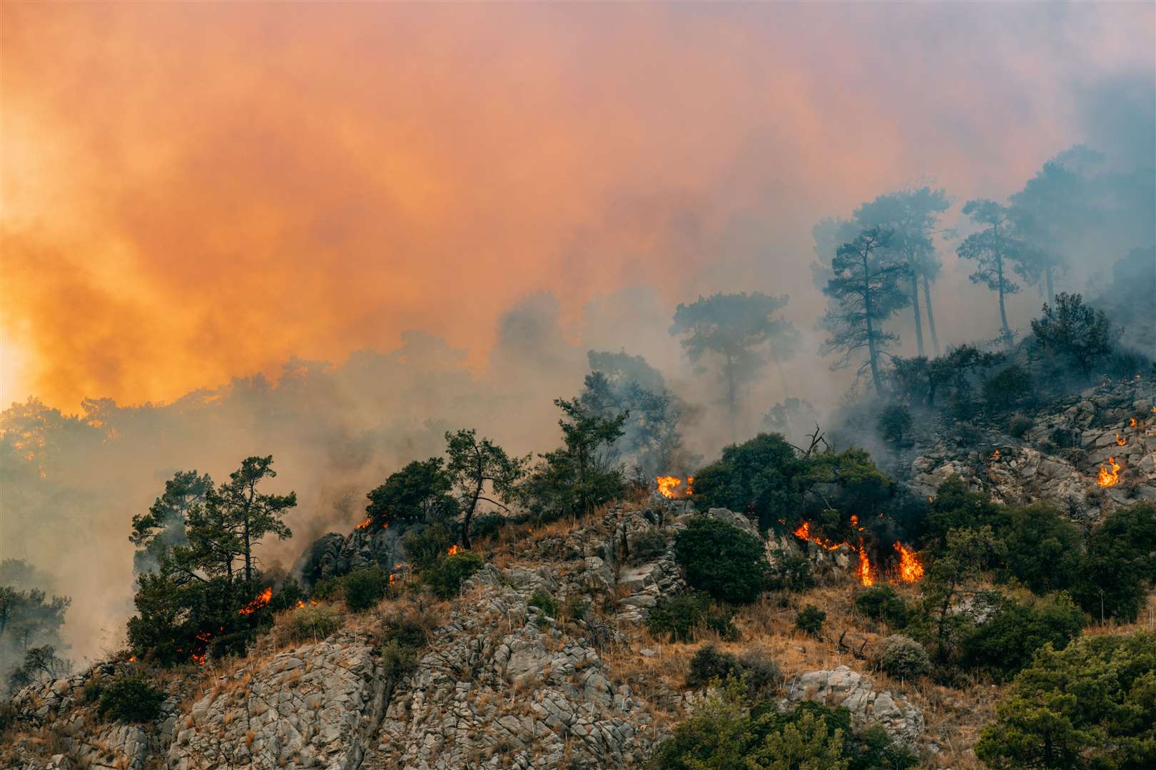 The reality is we're too late to save the planet, writes Secret Thinker Picture: iStock