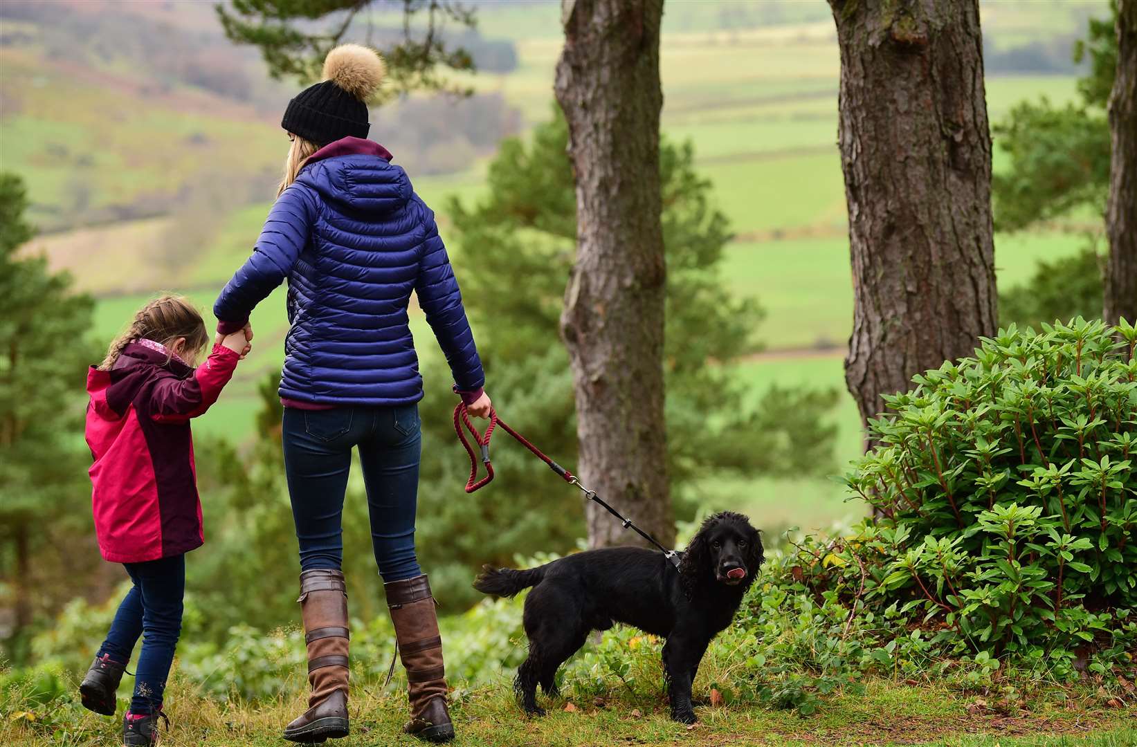 Get out and about Picture: National Trust/John Millar