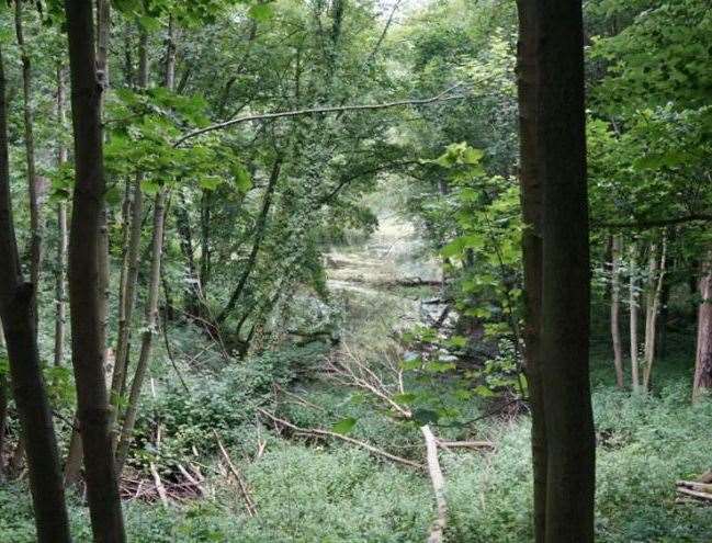 The lake created at Abbey Farm by the famous designer Capability Brown is barely visible