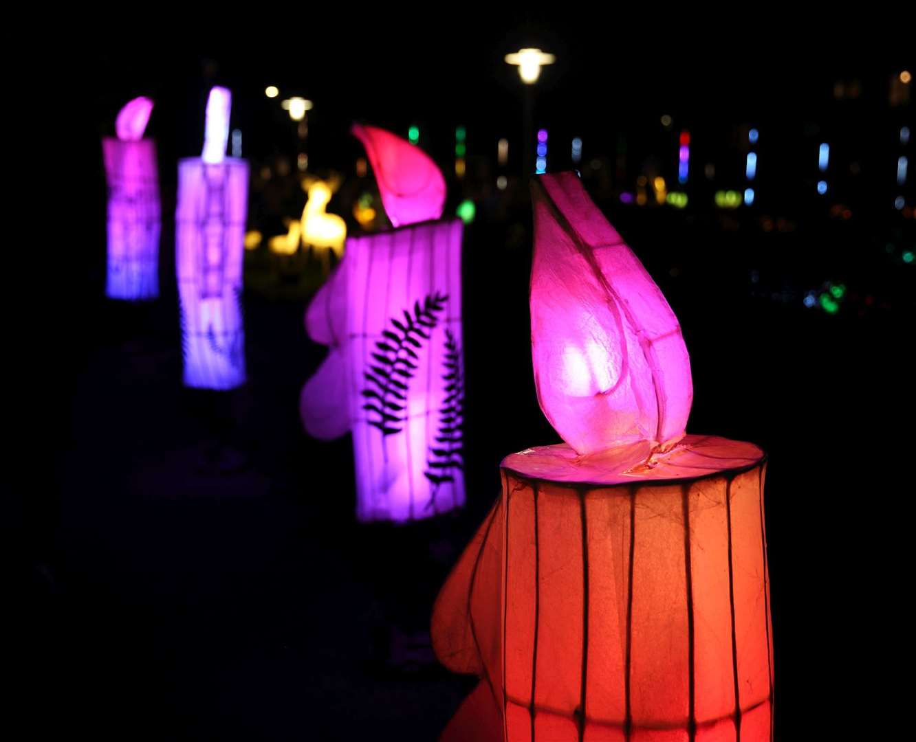 The park was lit up with several light installations. Picture: Cohesion Plus