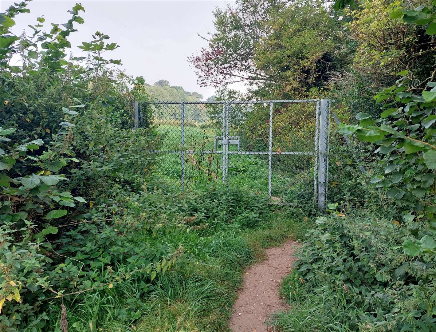 The narrow entrance to the old Astor Hever School Farm