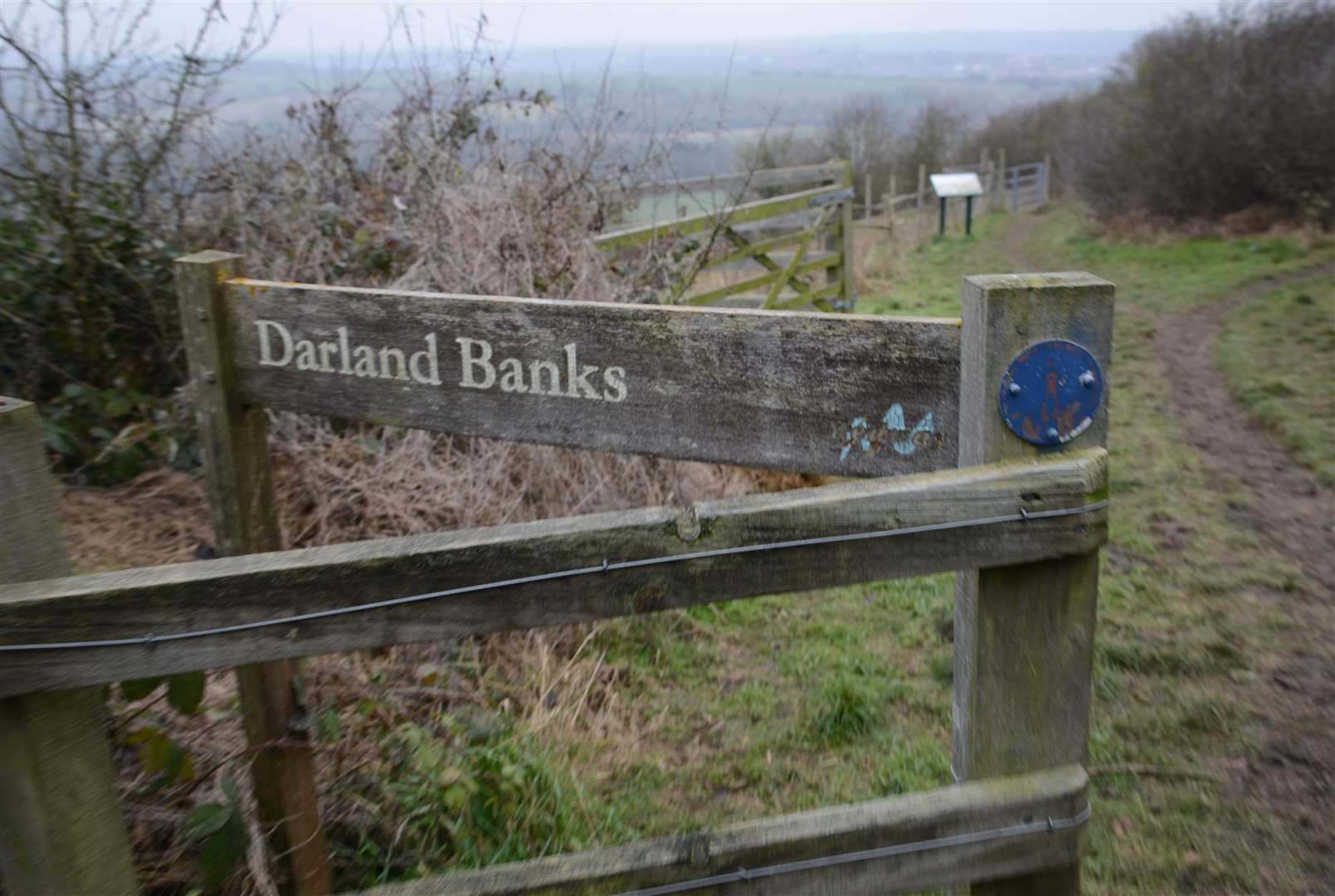 The thugs were seen loitering in an alleway which leads to the Darland Banks Picture: Gary Browne