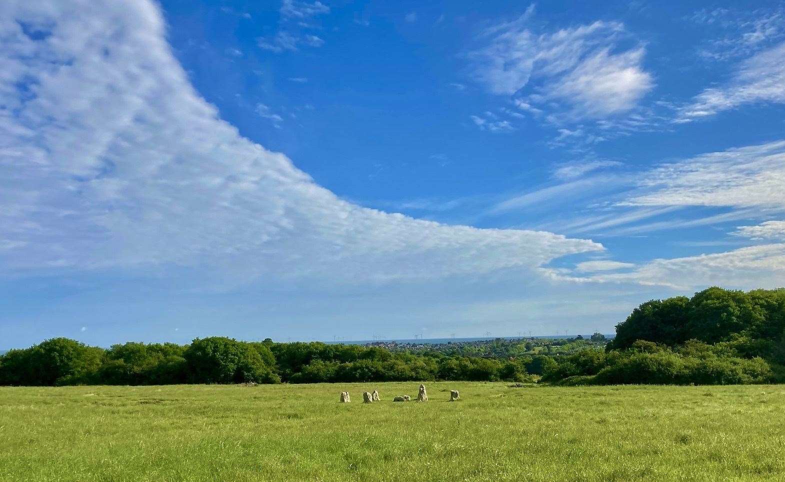 One of the Whitstable plots earmarked for the new woodland (60678311)