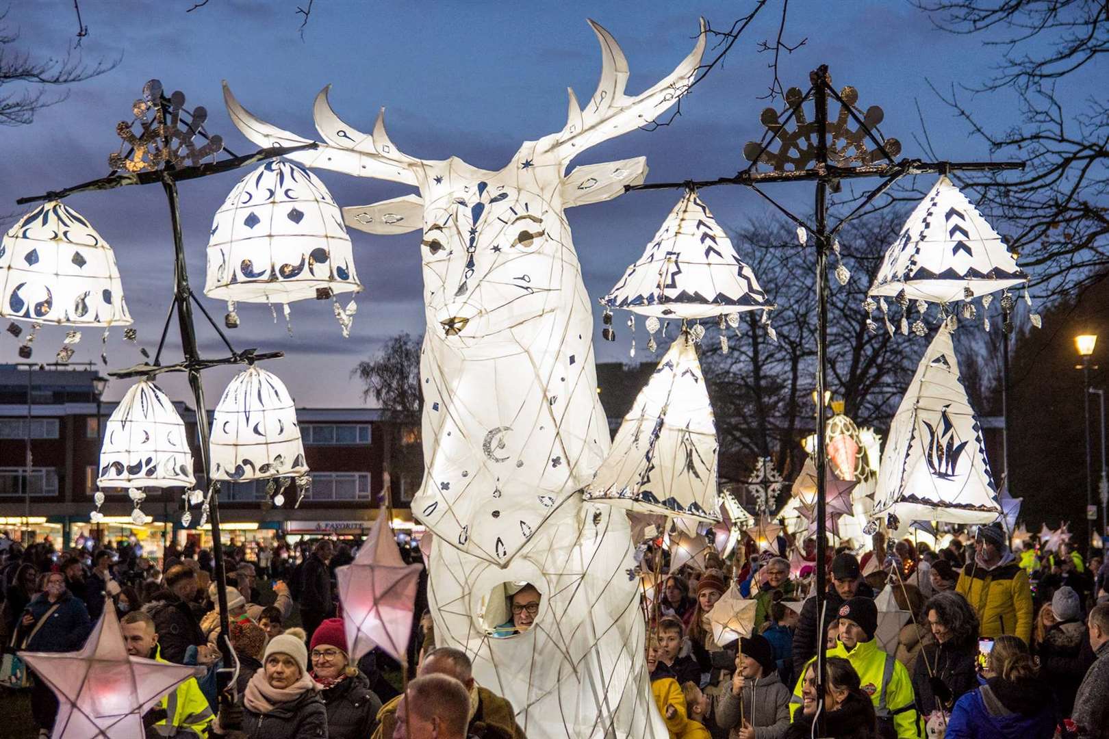 Dover Christmas lights last year. Picture: Brian van der Veen