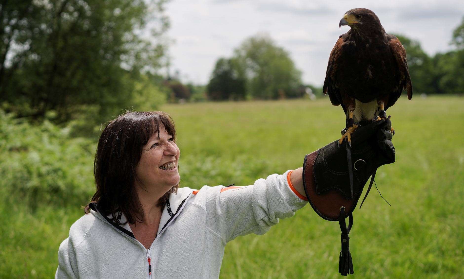 Try archery and falconry Picture: Joe's Bows