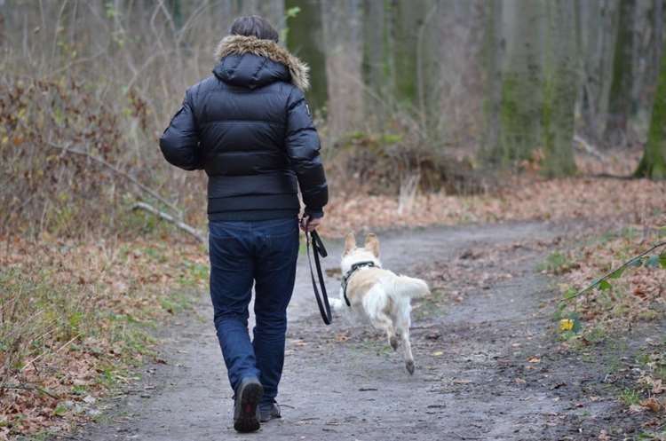 If you feel that you are in danger, walk as quickly as you can to a well-lit public place. Stock Image