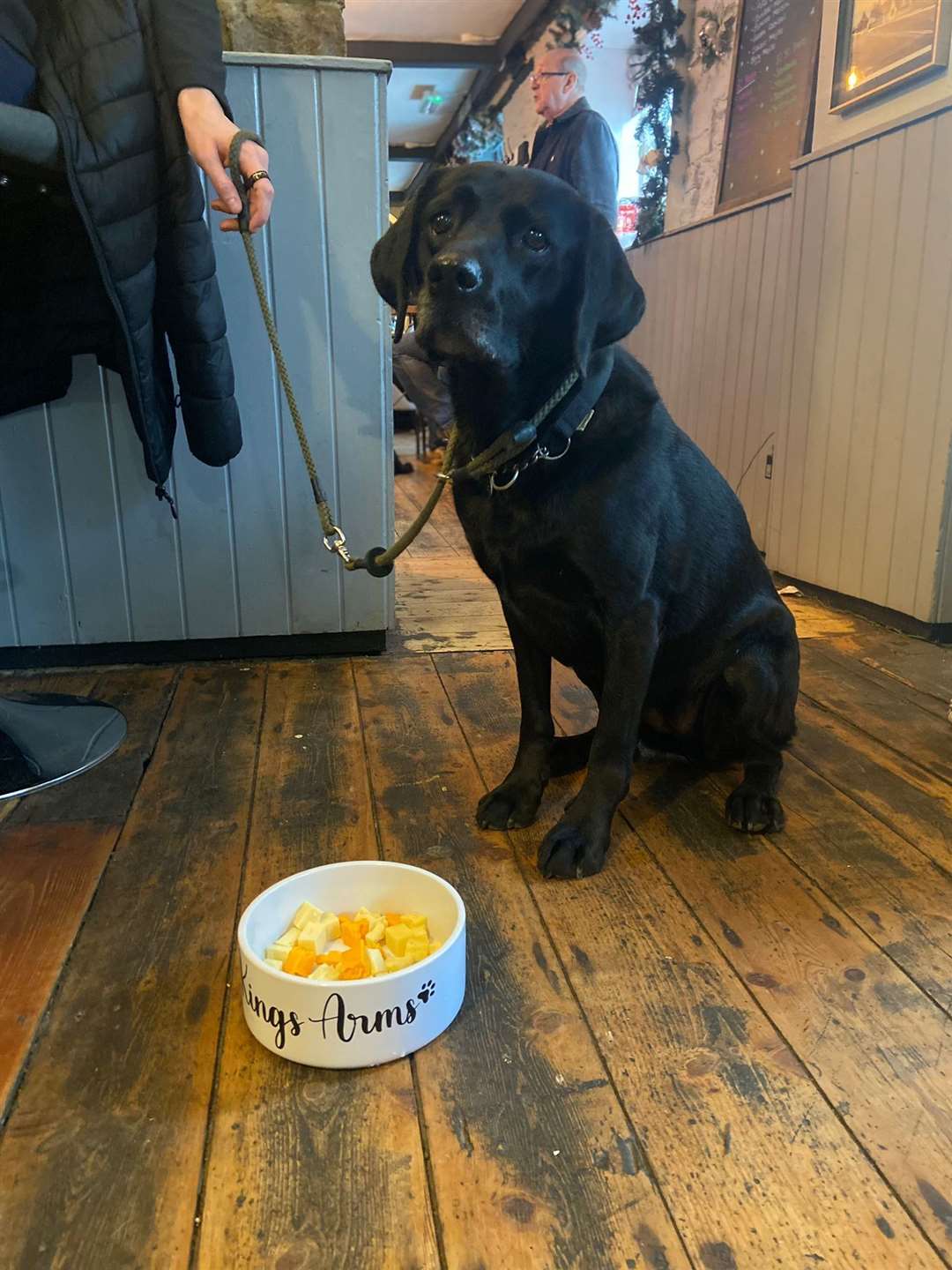 Ginny enjoying her doggy meal at The Kings Arms in Offham, near West Malling