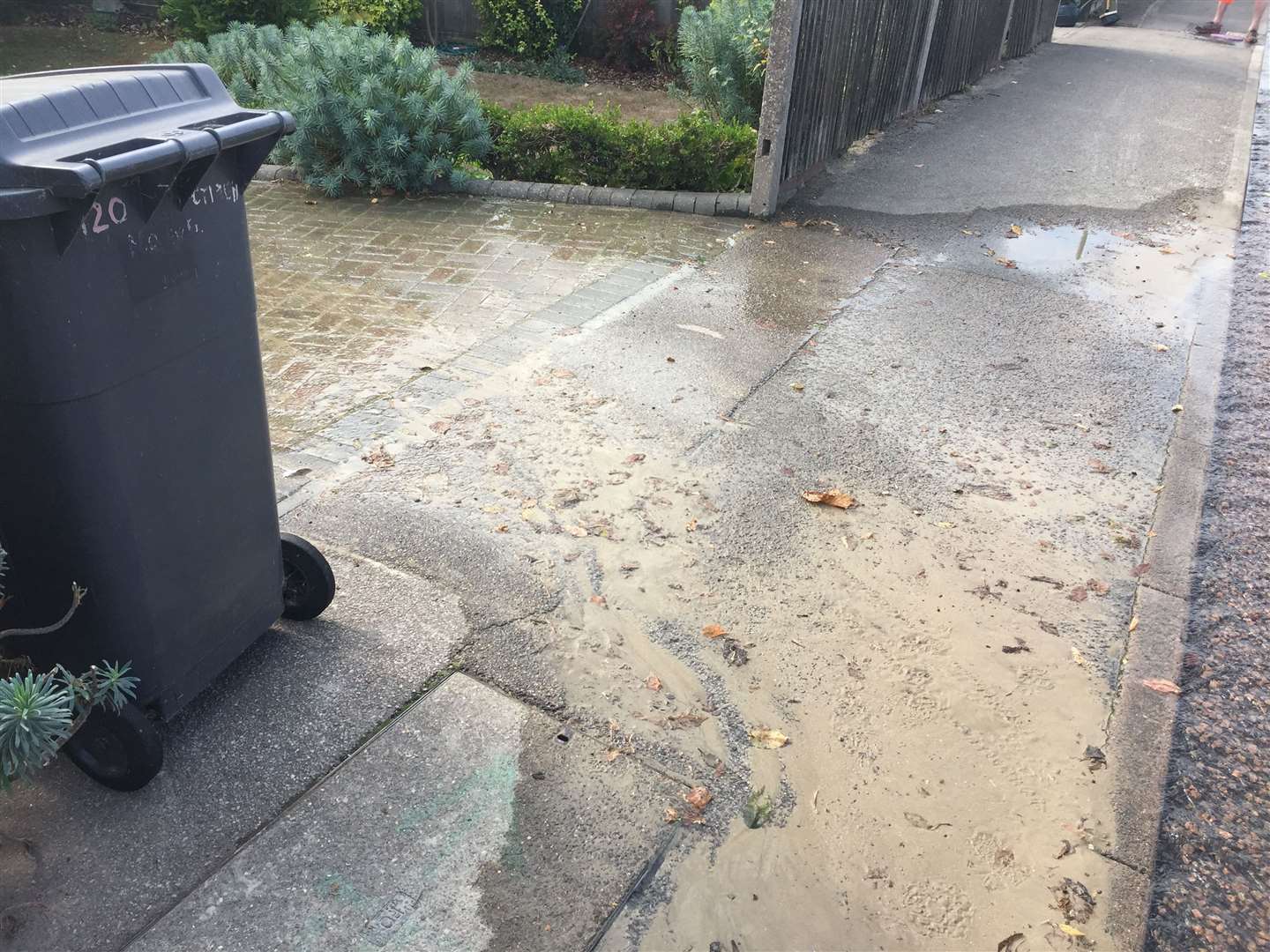 Water has been flooding gardens and drives in New Dover Road, Canterbury