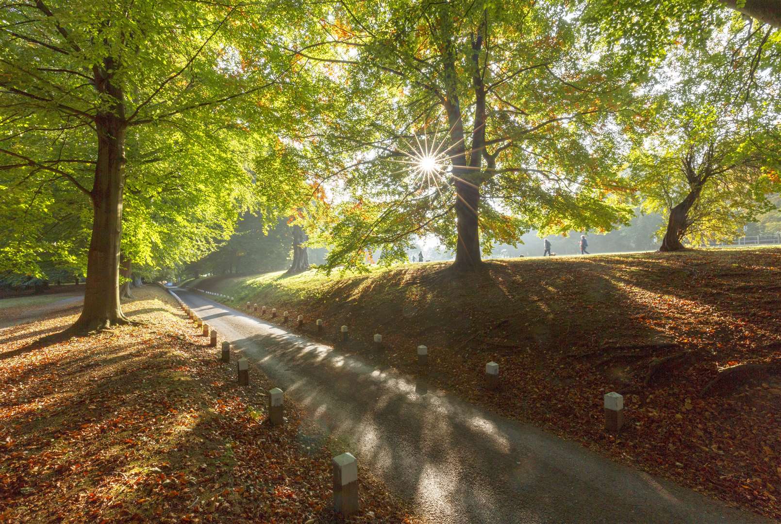 You could be raking it in by building houses on Mote Park. Picture: MBC