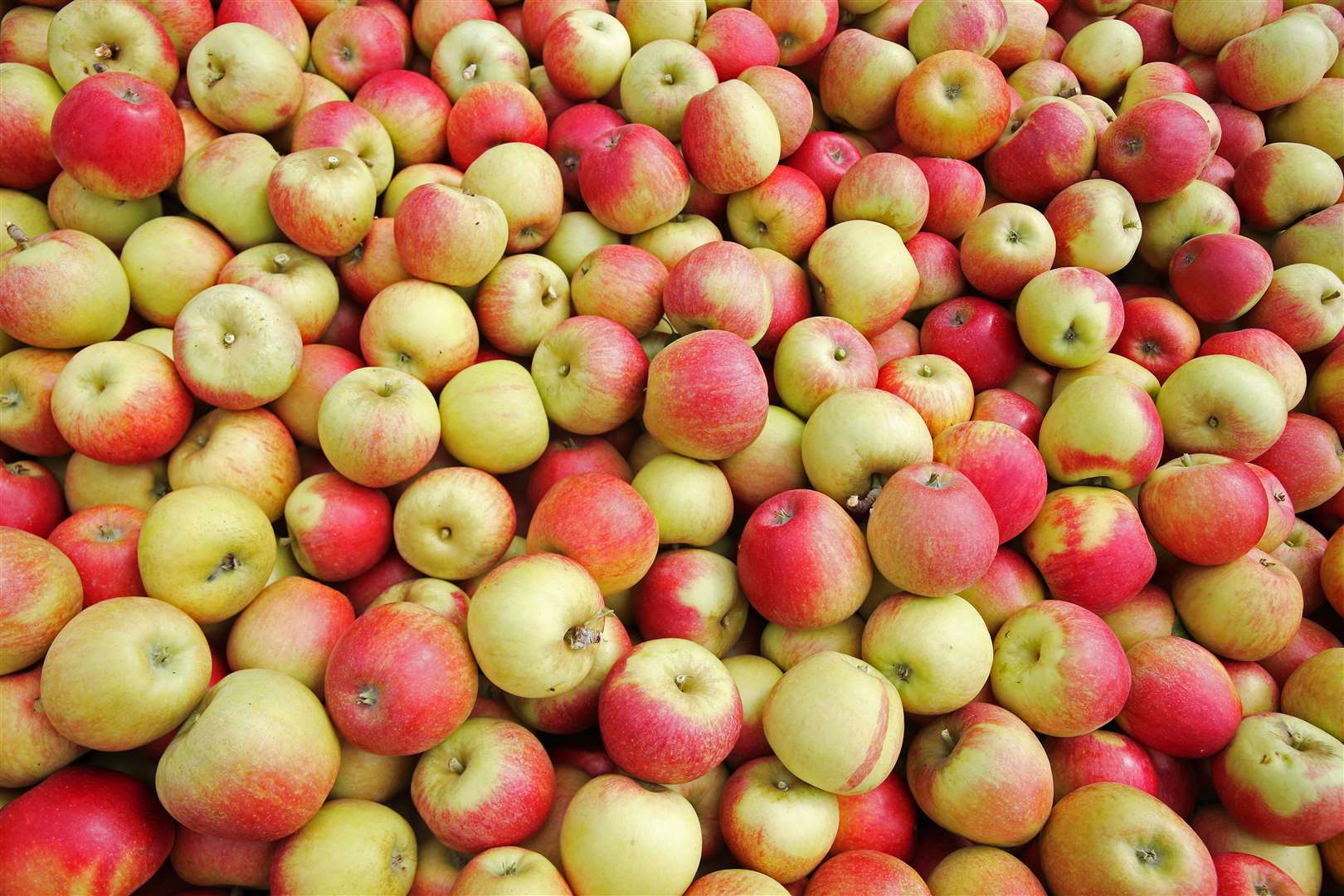 Asda is now stocking fruit grown in the county (4146332)