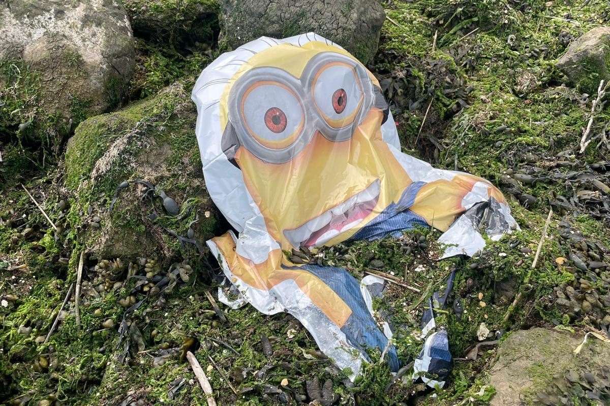 Discarded balloons left at Oare Marshes near Faversham