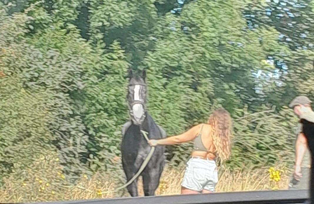 Traffic was delayed after a horse was walking on the A2 in Barham. Picture: Stephanie Whittaker