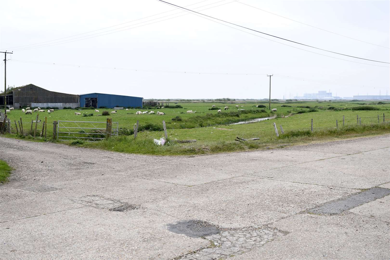 Flowers have been left at Dengesmarsh road in Lydd. Picture: Barry Goodwin.