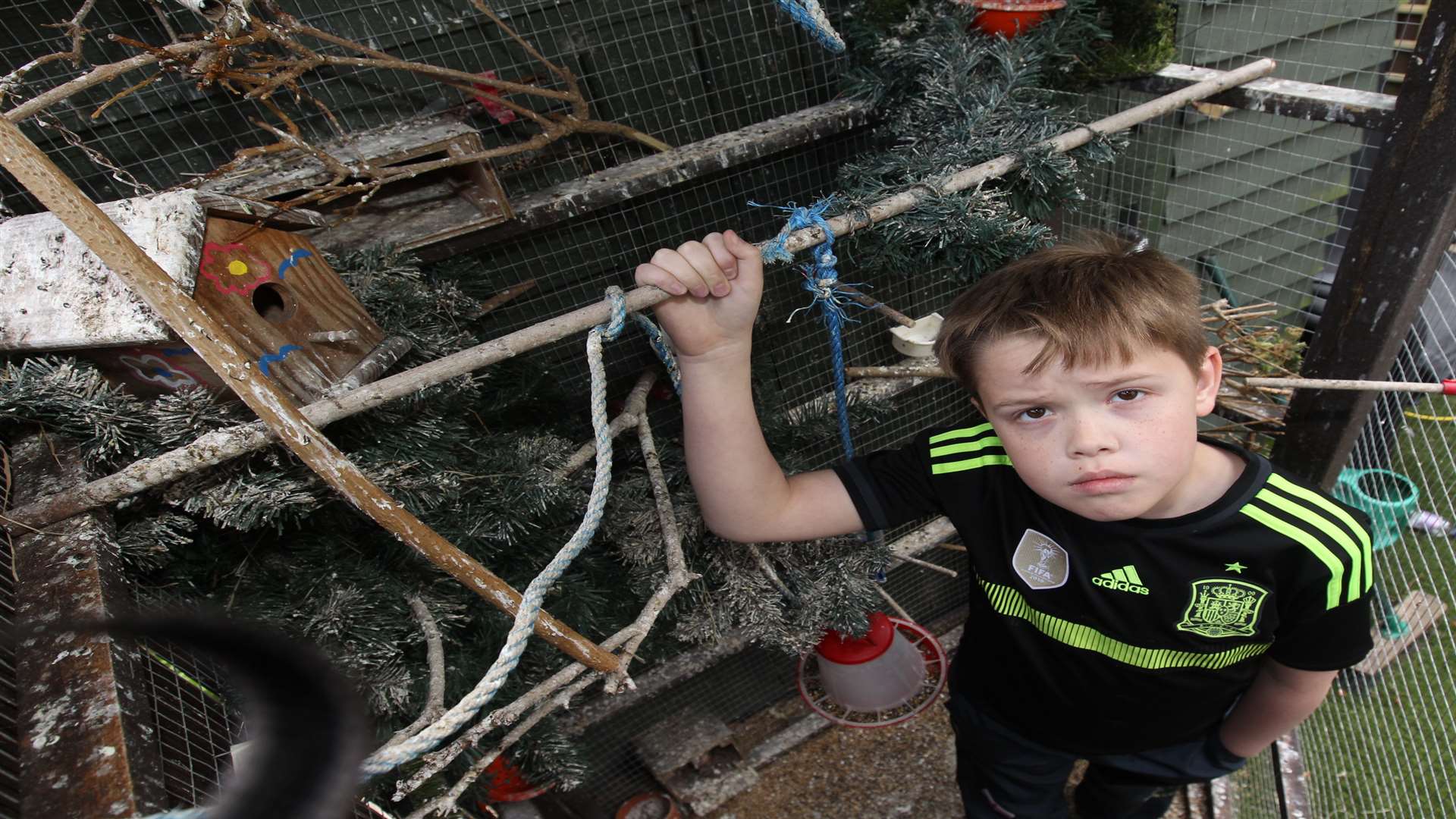 Dylon Osborne, 9, with his broken avairy. Picture: John Westhrop