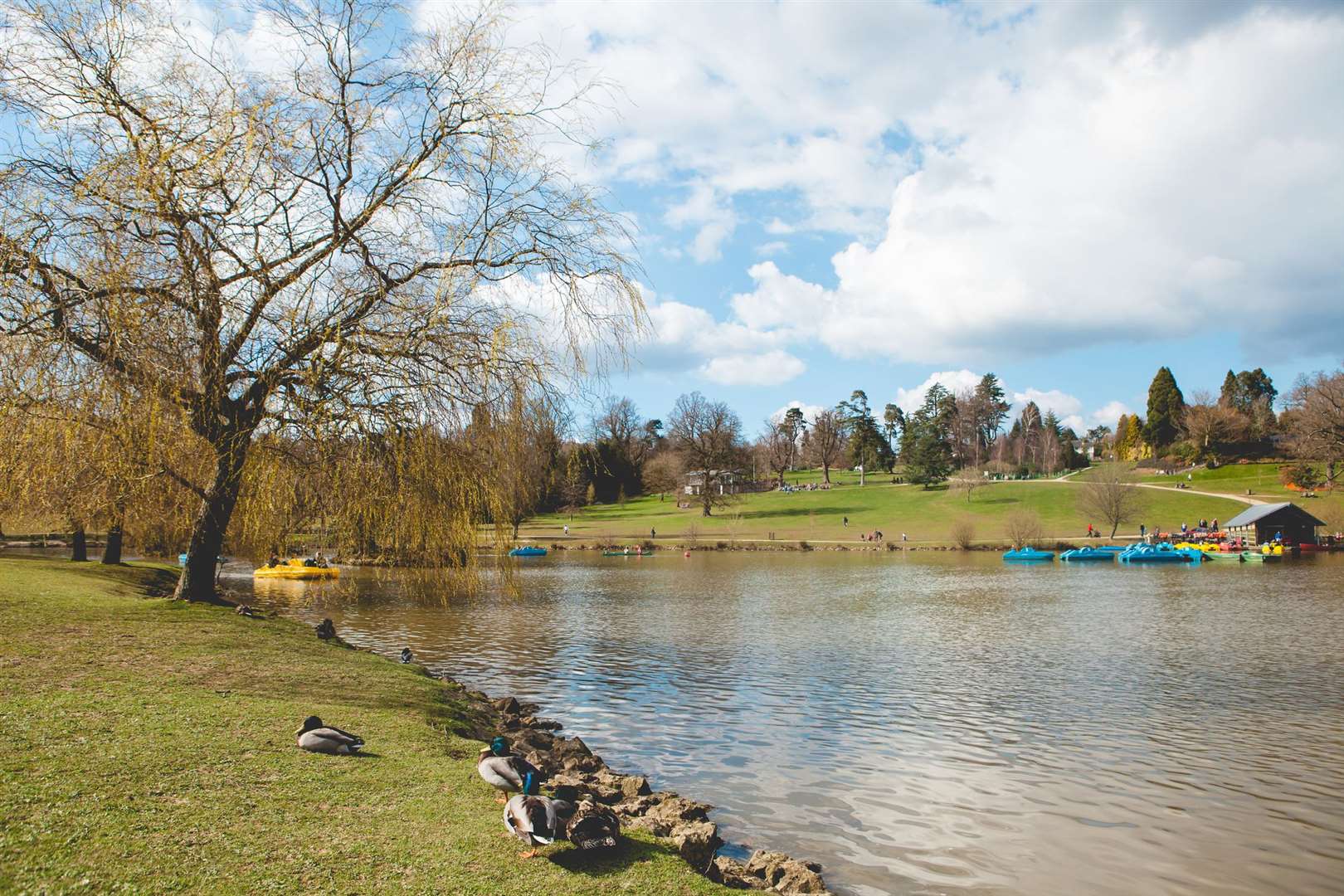 Dunorlan Park in Tunbridge Wells. (42701062)