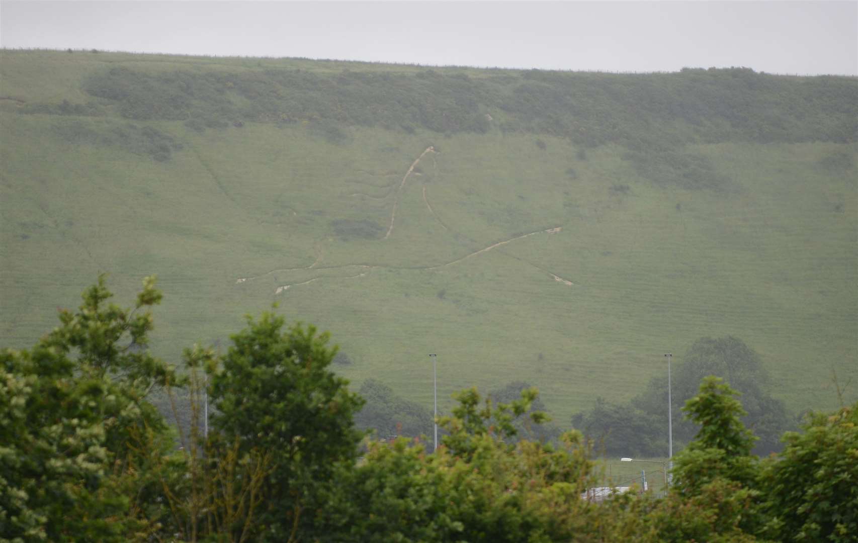 The horse was hardly visible when this photo was taken in July 2016. Picture: Gary Browne