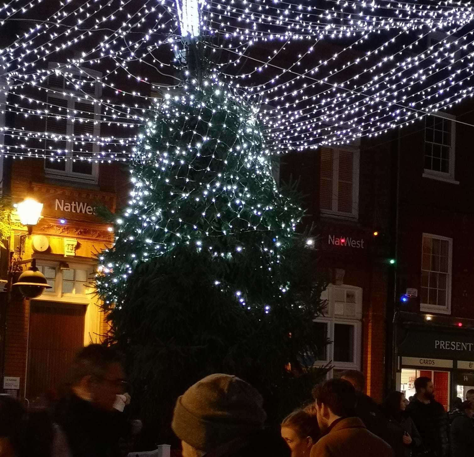 The tree has only had its top half lit in order to prevent vandals from damaging it (5668220)