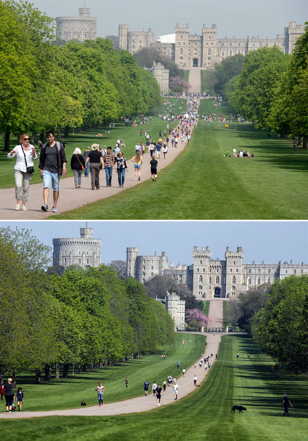 Windsor also saw a sharp drop in footfall – although many still chose the Long Walk for their daily exercise (PA)