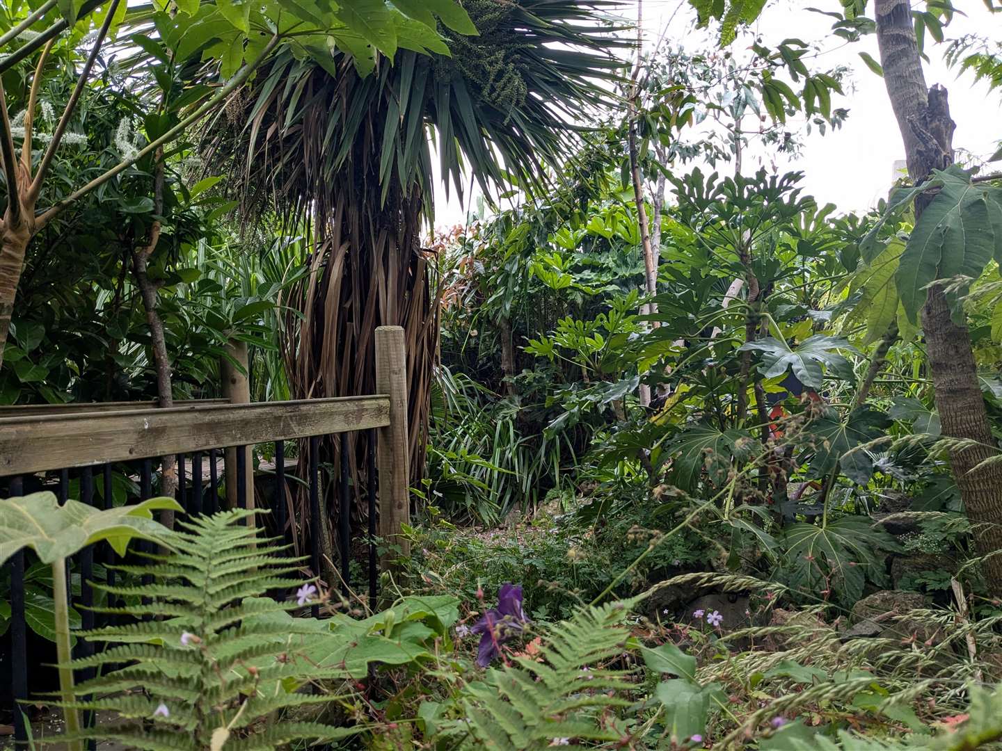 Scores of different plants fill the space