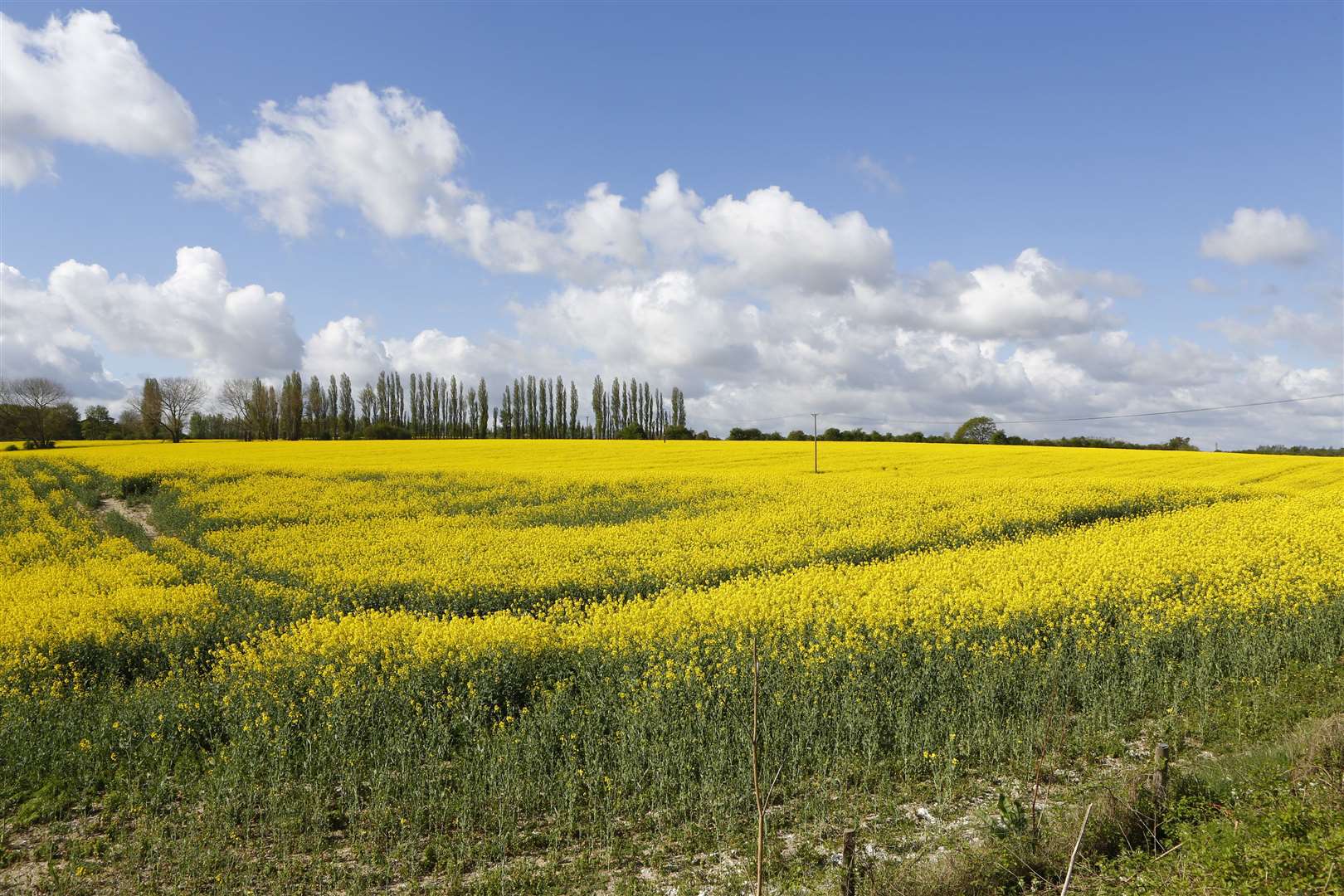 There are 320 acres of land owned by the Duchy