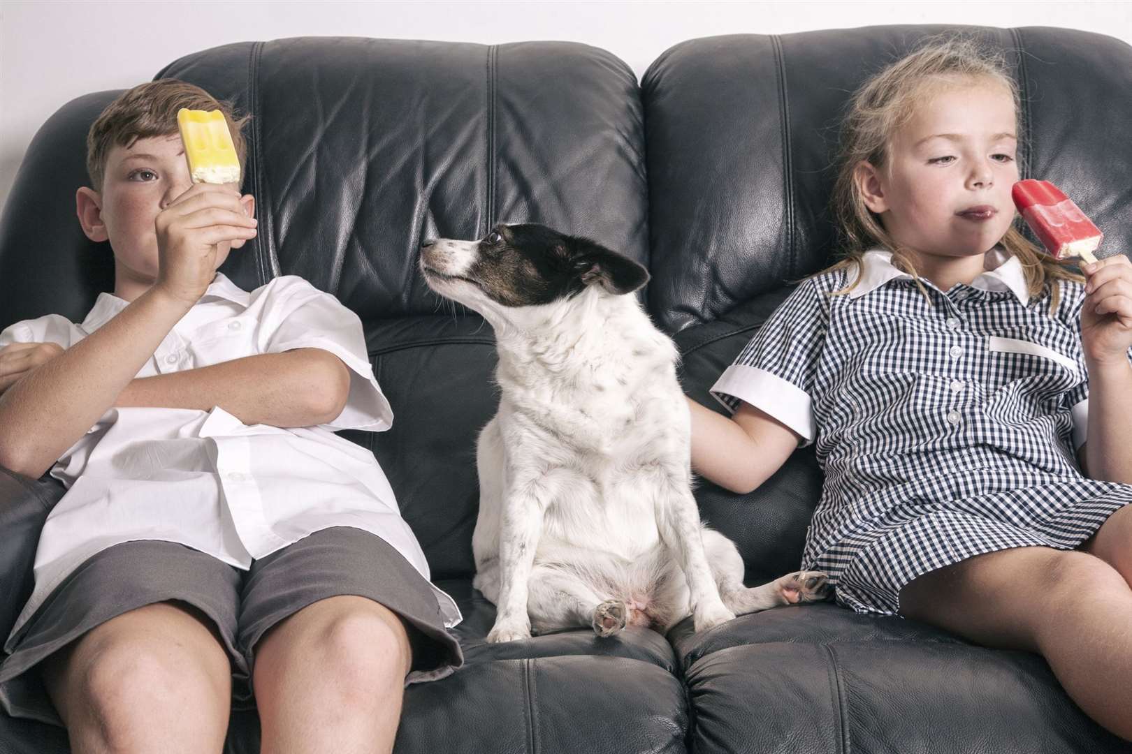 Frozen fruit, vegetables or peanut butter are among the ingredients you can add to lollies for your dog. Picture: iStock.