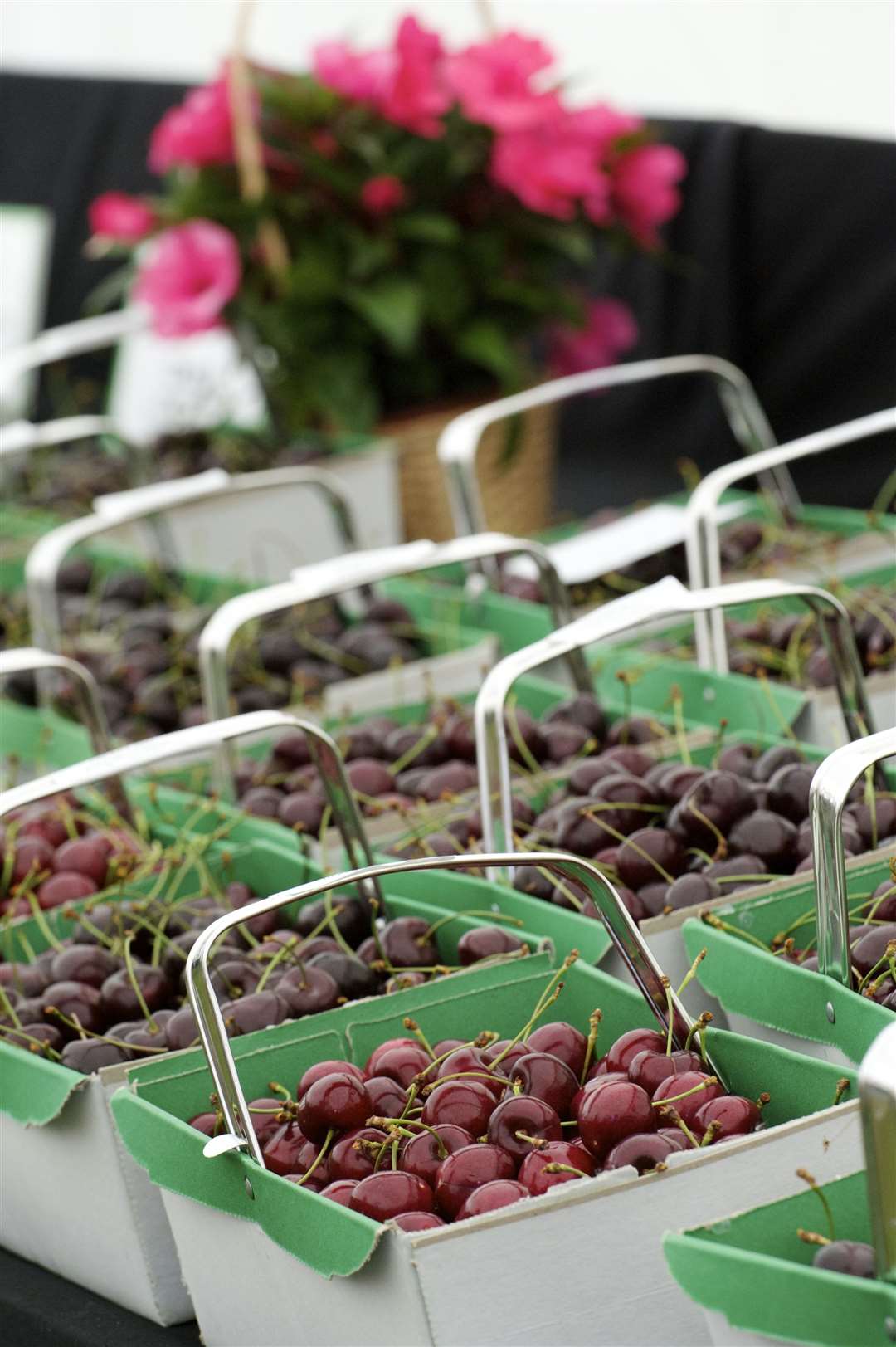 Kent cherries were such a hit with Henry VIII he apparently declared us to be the Garden of England