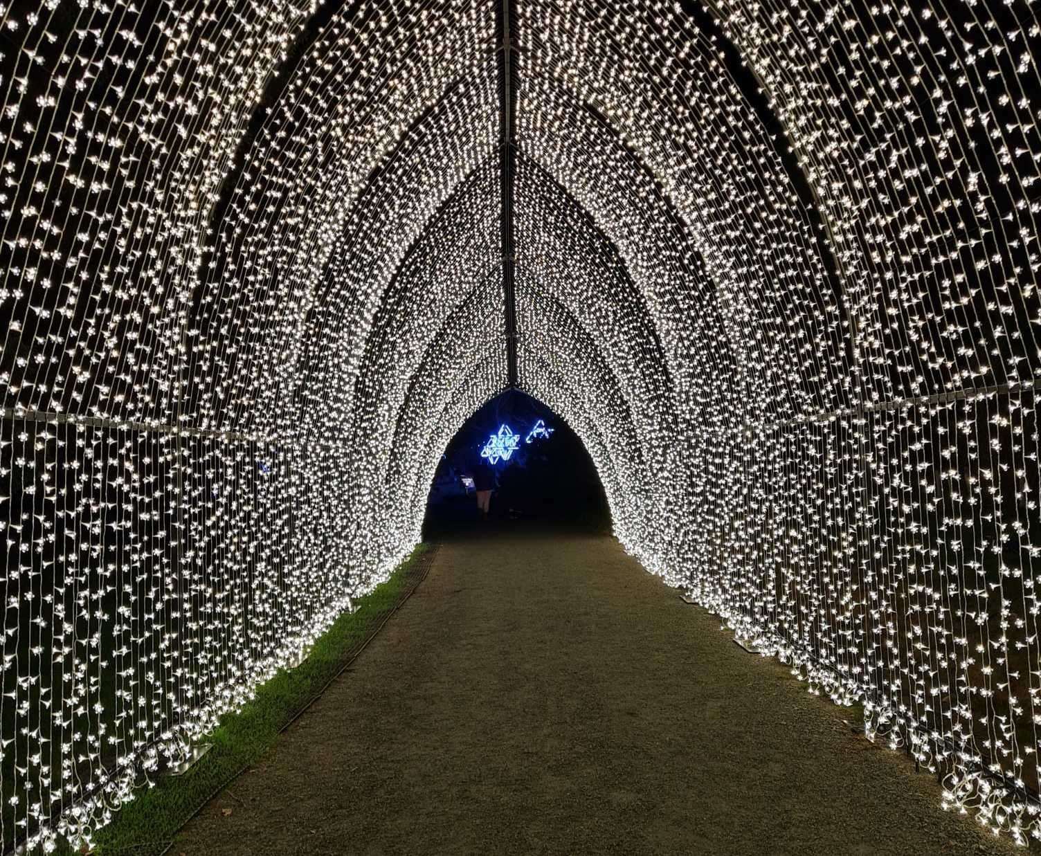 The cathedral of light is a perennial favourite