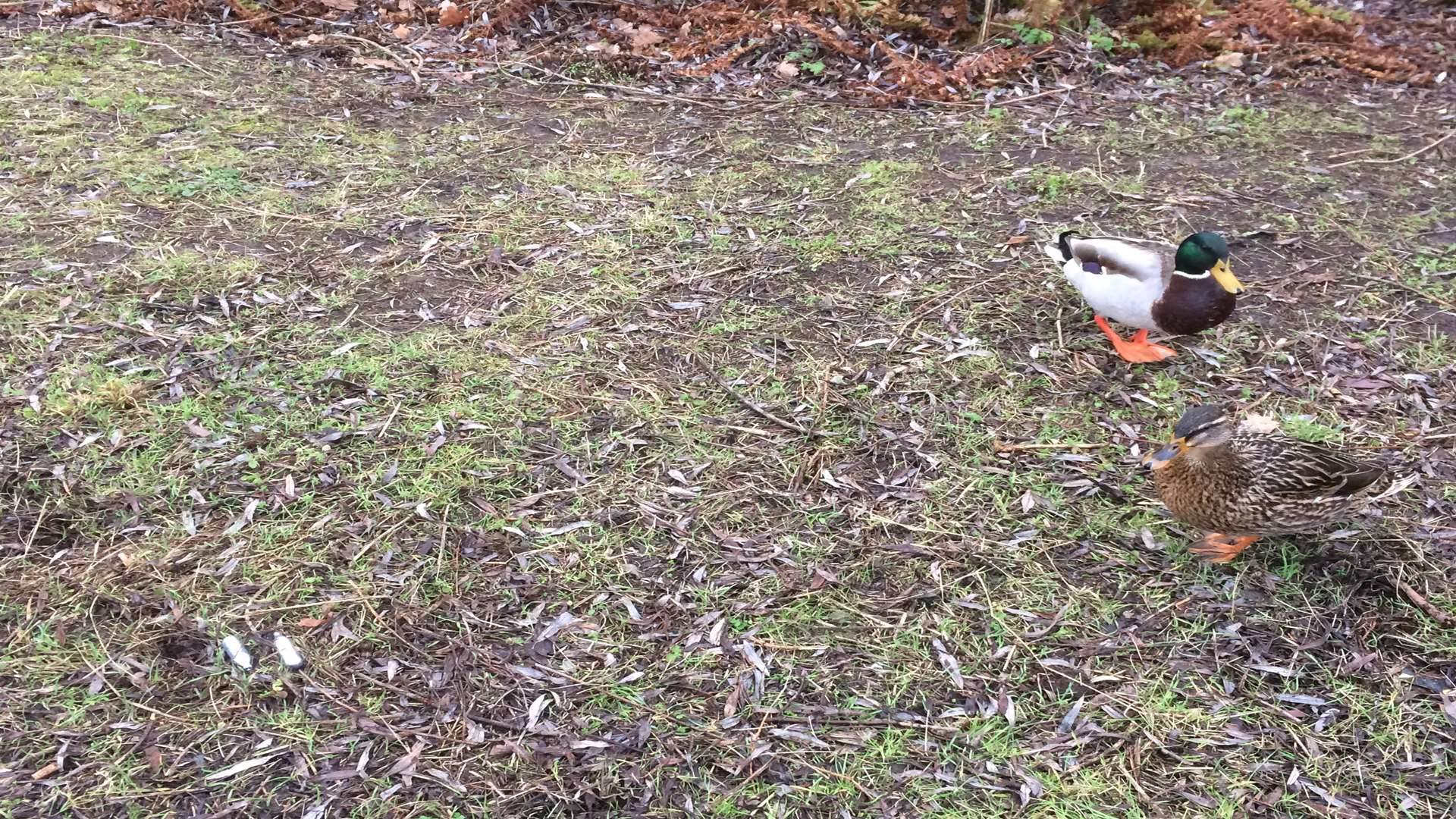 Laughing gas canisters have been found at the Nature Trail at Bluewater