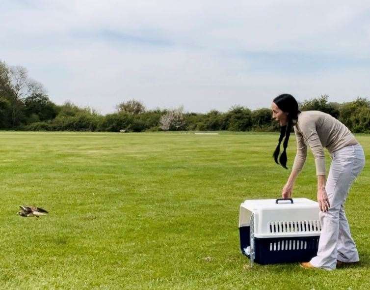 Esme was released into Nurstead Woods. Picture: Carly Ahlen