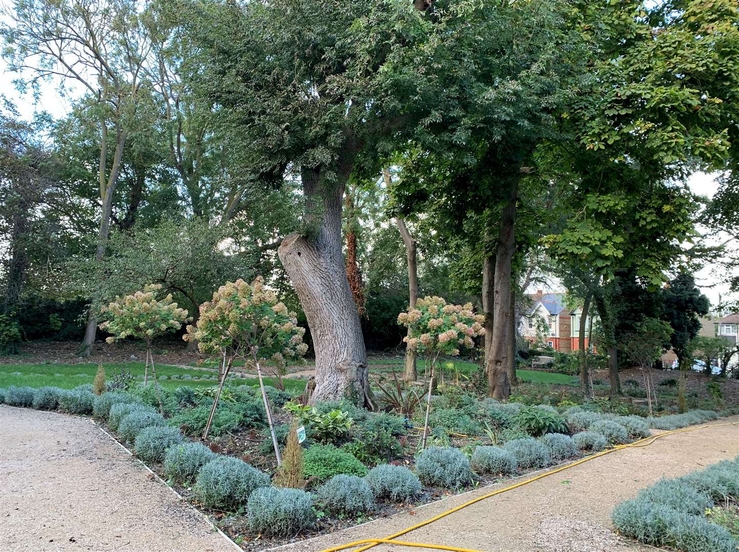 The gardens at Salmestone Grange are a scheduled ancient monument