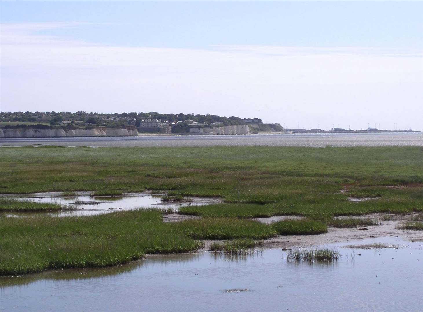 There are concerns about wildlife being disturbed at Sandwich and Pegwell Bay. Picture: Kent Wildlife Trust