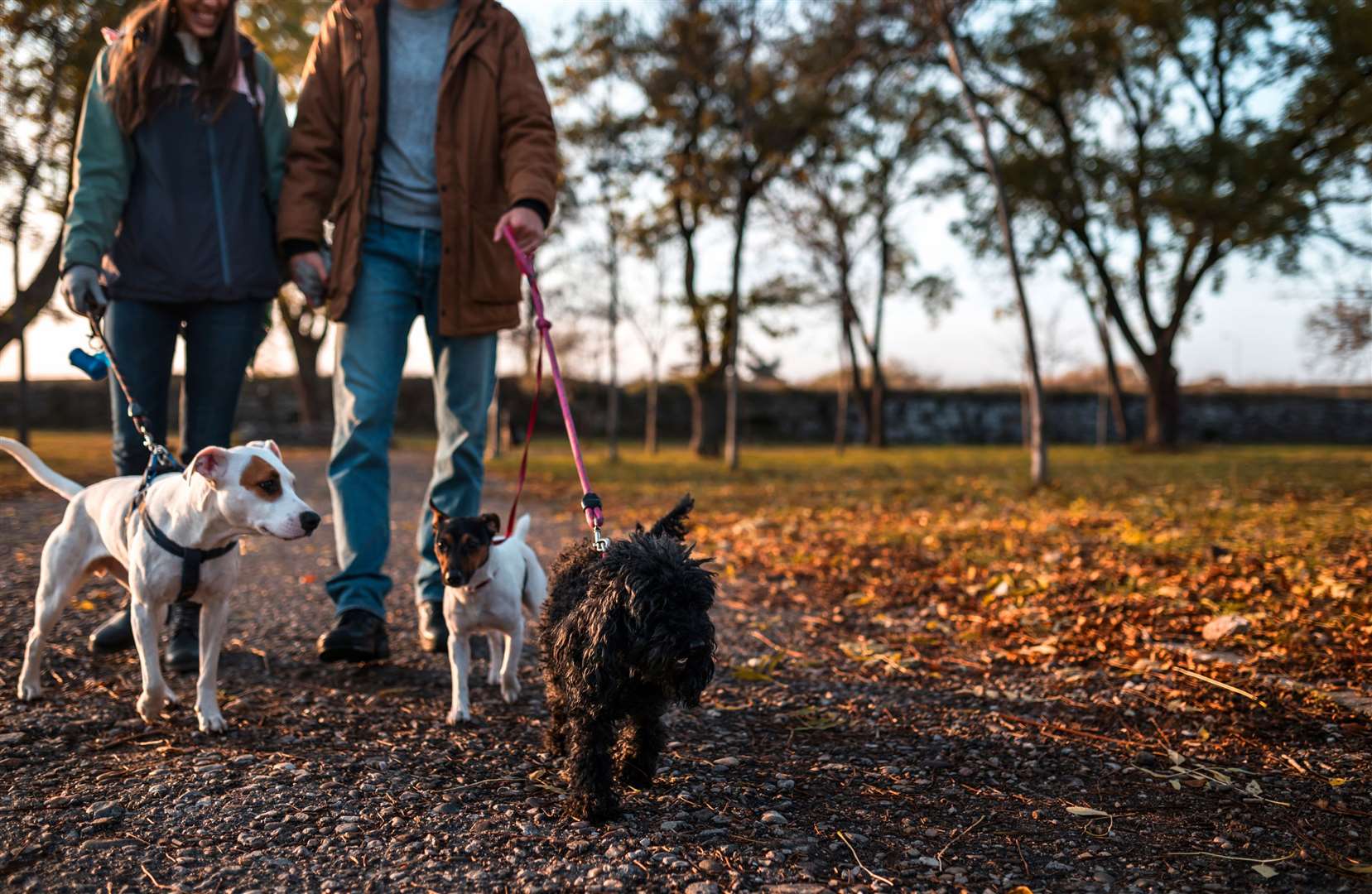 ATE has announced it would be using £101 million of government funding for high-quality walking routes across England. Stock Image