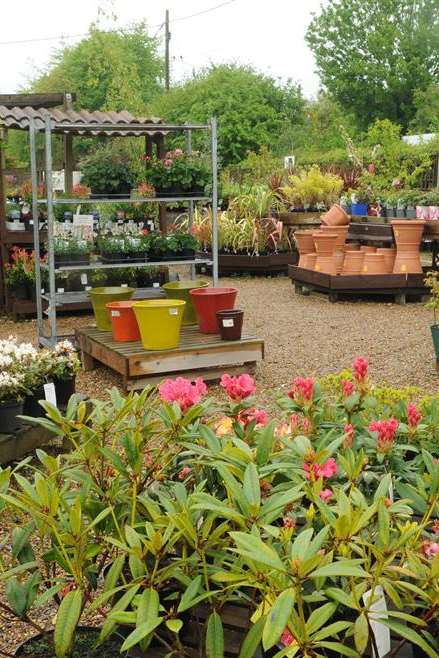 Alkham Valley Garden Centre