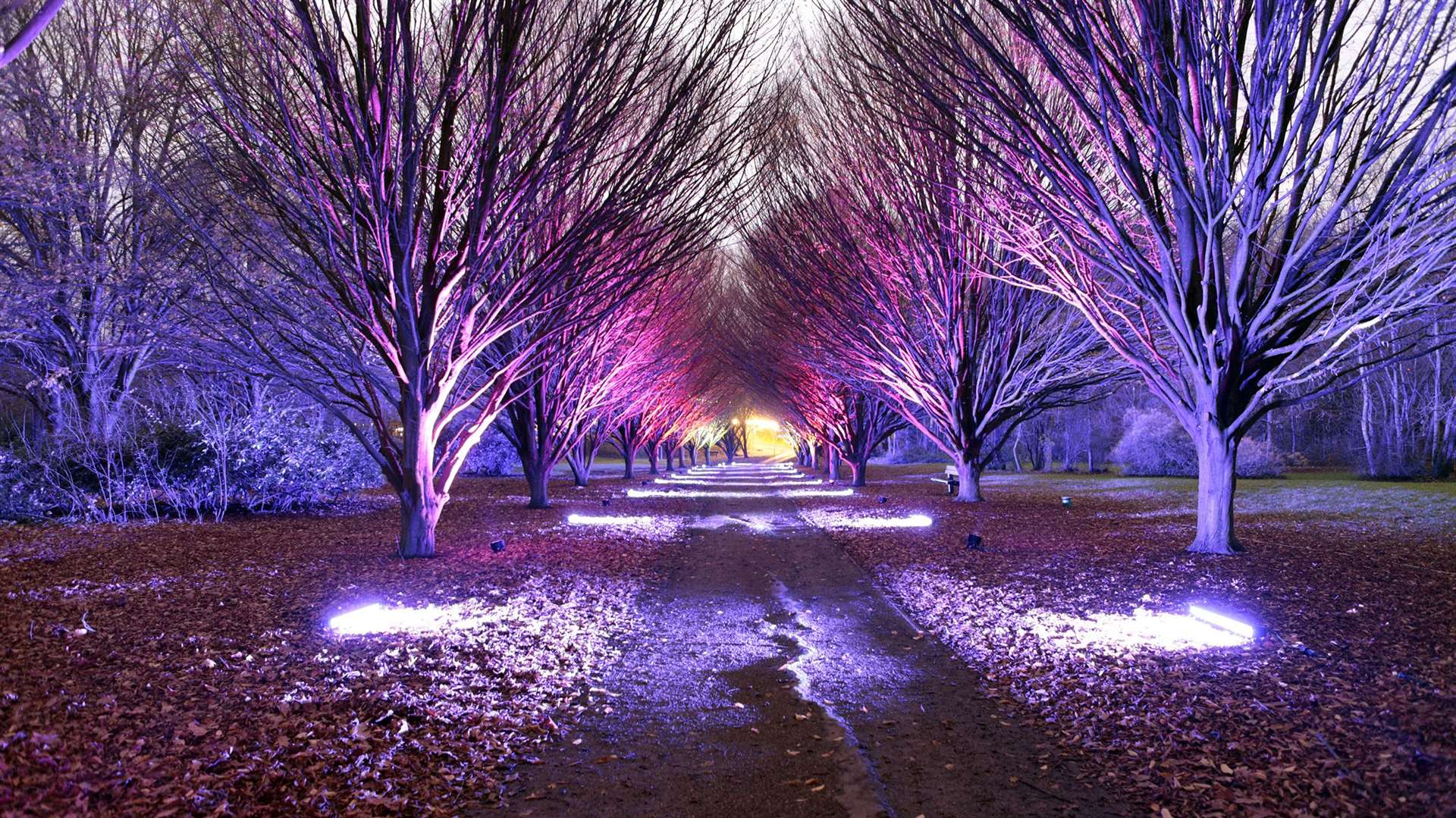 The trail is through Cobtree Manor Park Picture: Nick Johnson