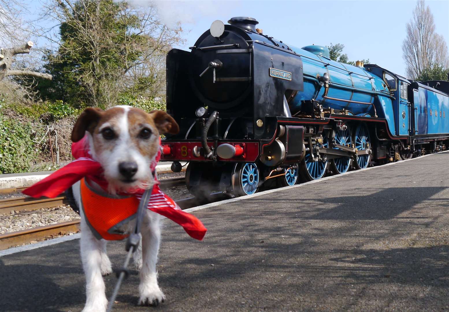 Romney Hythe and Dymchurch Railway is set to reopen