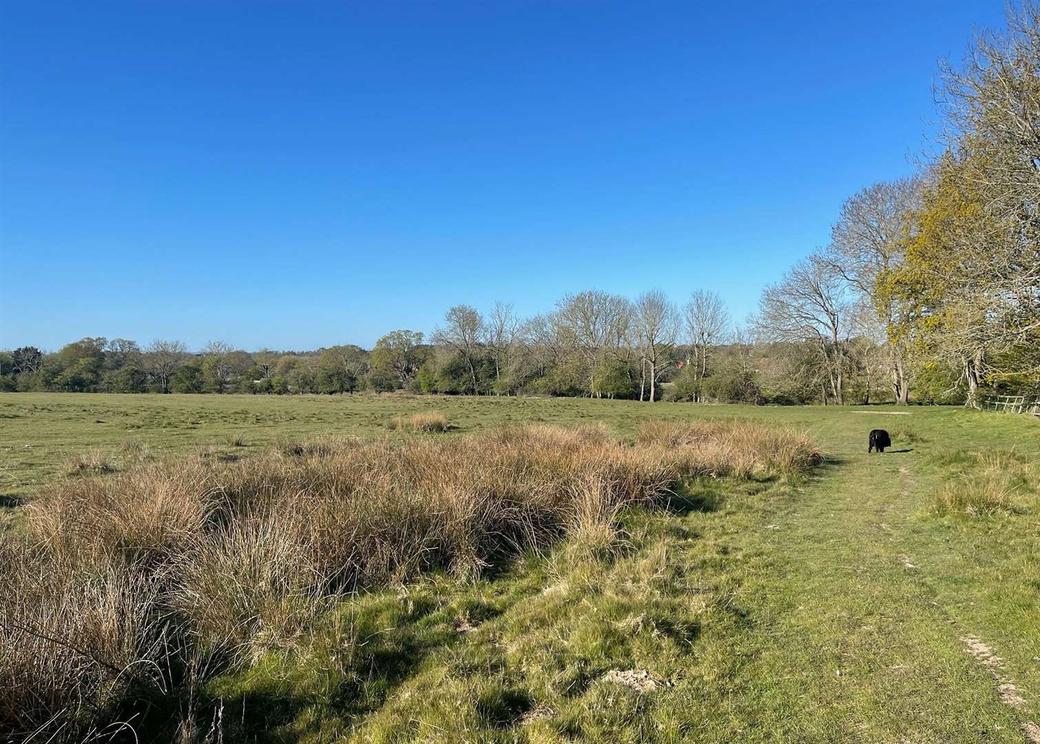 The development would be built on this land, which is currently a popular sport for walking and exercise