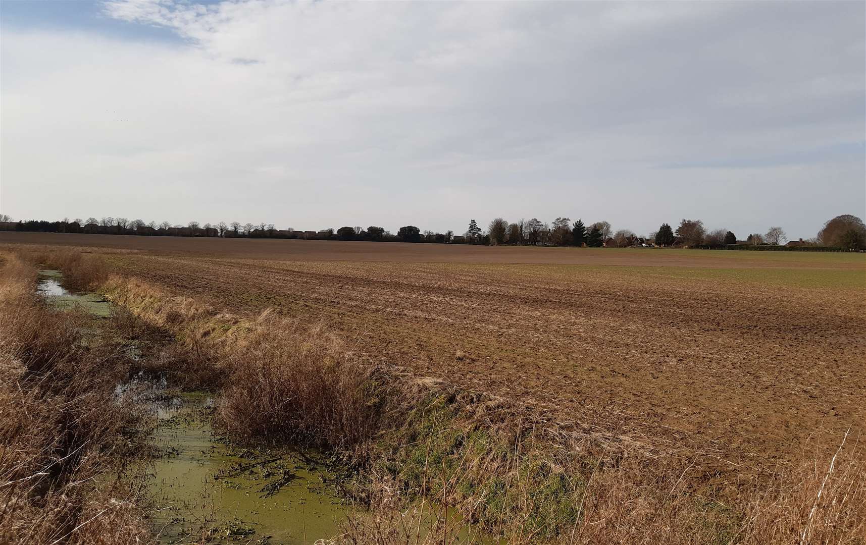 Part of the 81.5-acre 'Large Burton' site