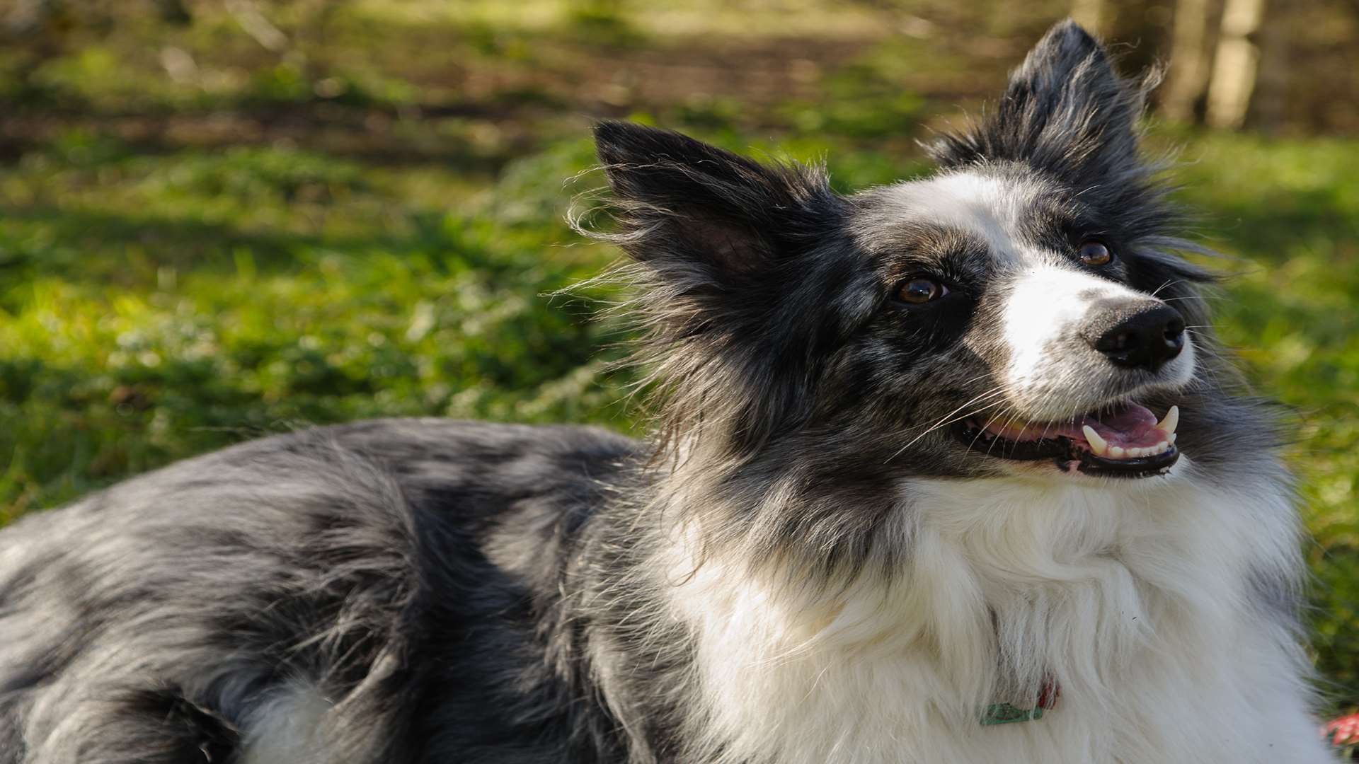 Kadie was lucky not to be seriously injured. Picture: Alan Langley