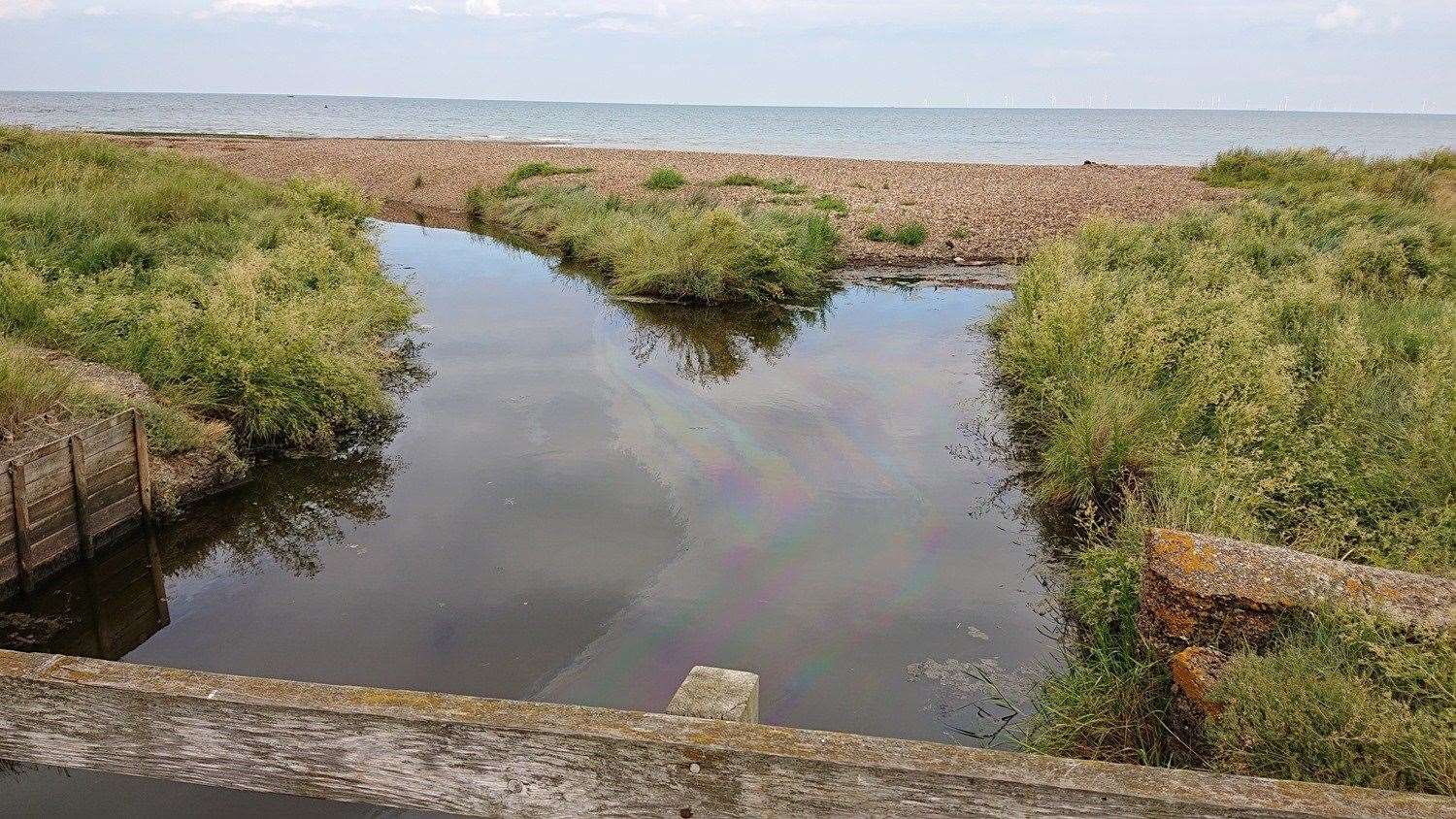 Diesel can be seen floating on the water at Swalecliffe Brook Pic: Canterbury City Council (14616631)