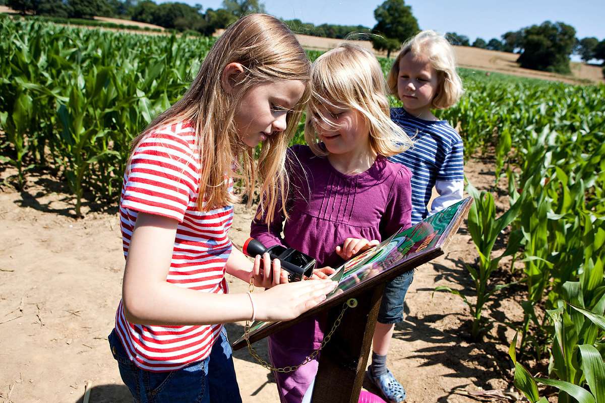 Plotting a course through the maze at Penshurst