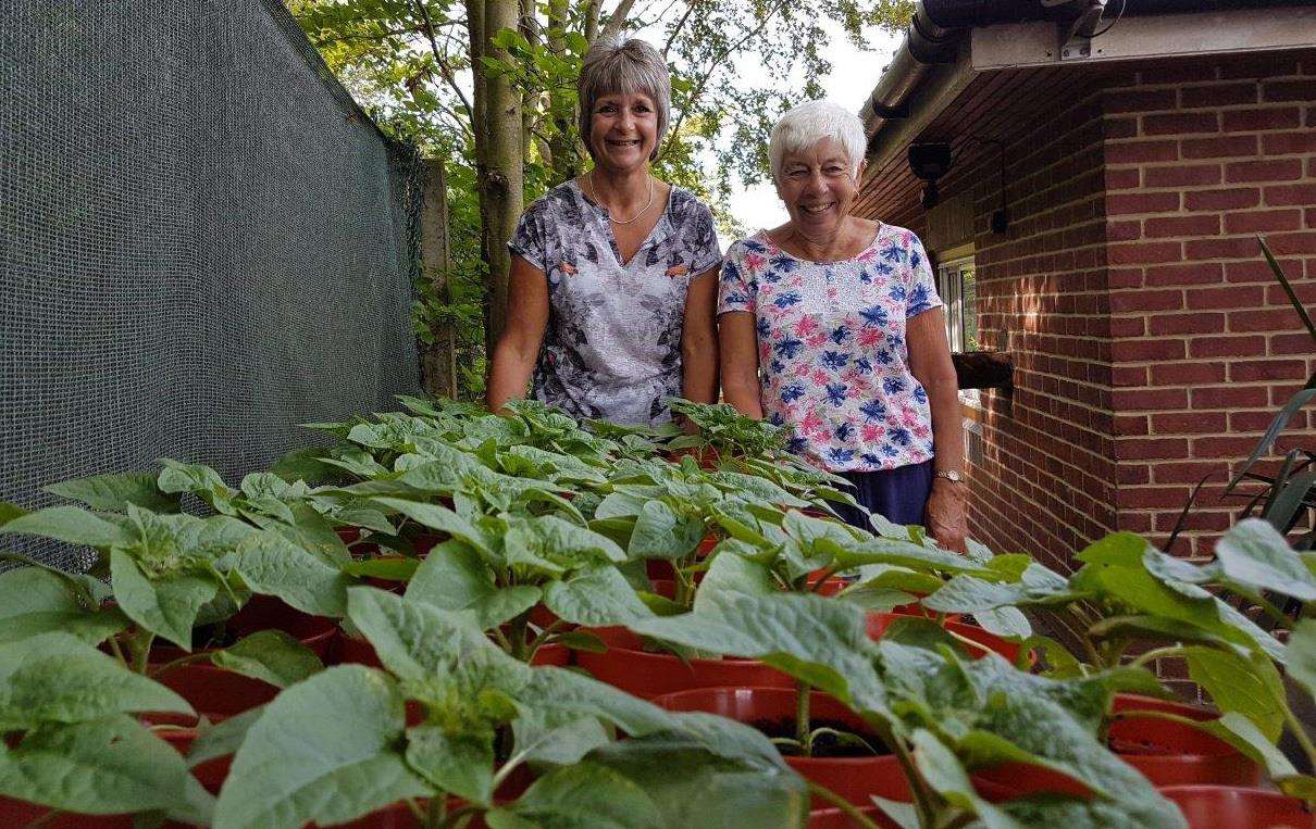 Volunteers Isabel Hack and Carol Whittaker (2446249)