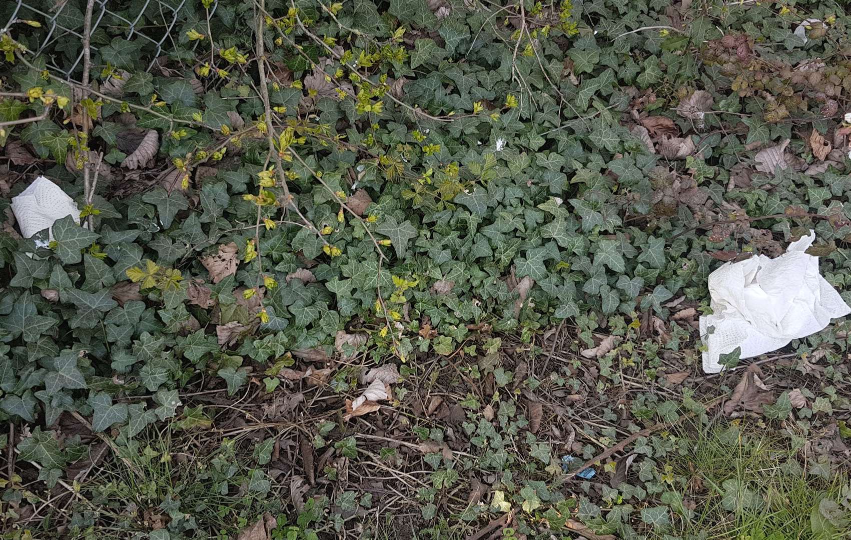 Used tissues and wet wipes are scattered around the Pike Road banks