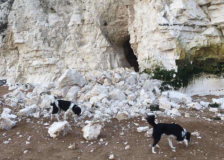 Cliff fall on the Thanet coastline. Picture: Henry Davies (6429732)